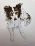 by DeLaine  Klar