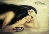 by Shima Ghasemi