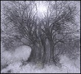 by Sher Richardson