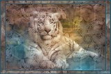 by Sher Richardson