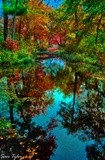 by sam tyler