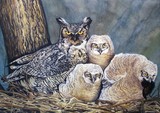 by John Houle