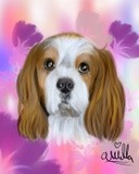 by Ariella Belau