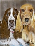 by Ariella Belau