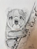 by Ariella Belau