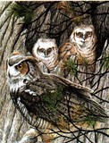 by Gayle Taylor