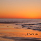 by Anne Vis