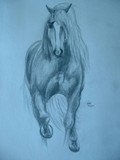 by Nastasia Nianiaris