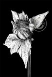 by Lynn Spencer