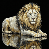 by Mark Peterson