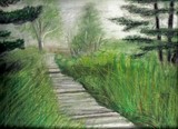 by Sue Carmicle