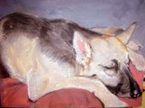 by JANIE THOMPSON-LIDE