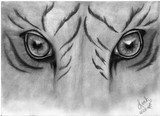 by Leah Jaarveth