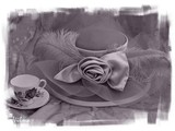 by Vilma Rohena
