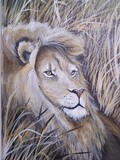by Chante' Hall
