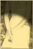 by Hassan Pasha