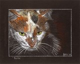 by Jennifer Redstreake