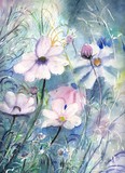 by Hanna Stawska