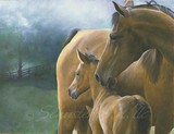 by Lisa England  Schuster