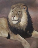by Sarah Allen