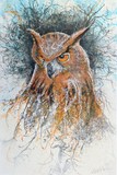 by Steve Hunsicker