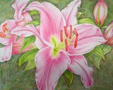 by Rebecca Langlois