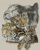 by Barbara Keith