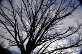 by Michael Manning