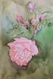by Prof Ghaisas