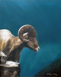 by Heather Farmstead