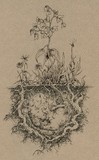 by Socar Myles