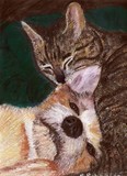 by Susan Richards