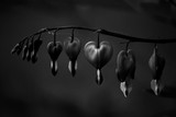 by Saskia Grey
