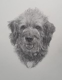 by Wendy Poulton
