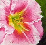 by julia kapp