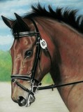 by Sue Clinker