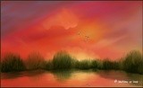 by Jewel Savoy