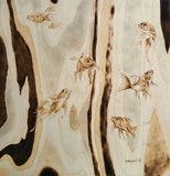 by jill madgwick