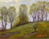 by Don Sibley
