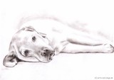 by nicole zeug