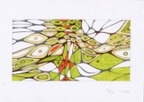 by Federico Cortese