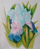 by Elaine Wilkesman