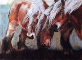 by els boedts