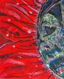 by Linda Hawkins
