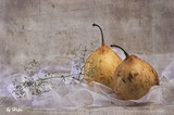 by Nadia Markalova