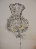 by Anna  Girgis