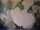 by Alana  Hastings