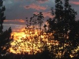 by Debra Kott