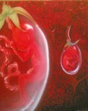 by D Masschaele