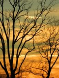 by Pamela Mashburn